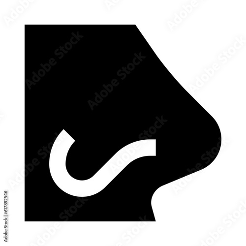 Nose