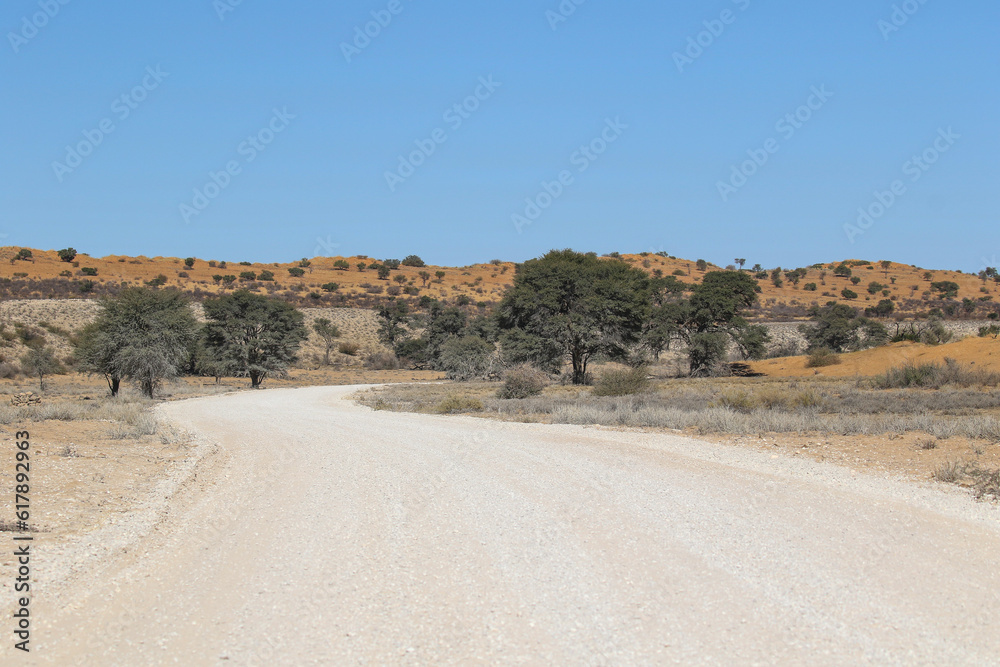 Dirt road in the Kalahari (Kgalagadi)