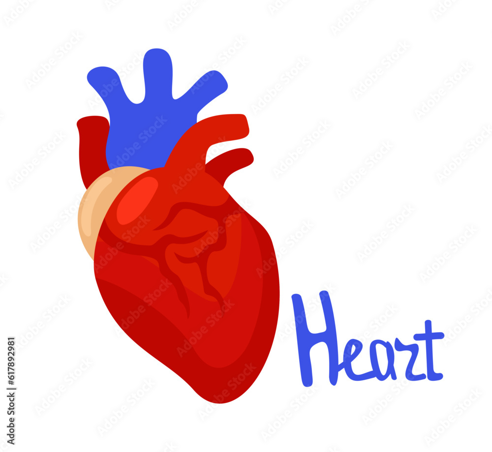 Vector isolated illustration of heart with lettering. Vector isolated illustration of heart with lettering.