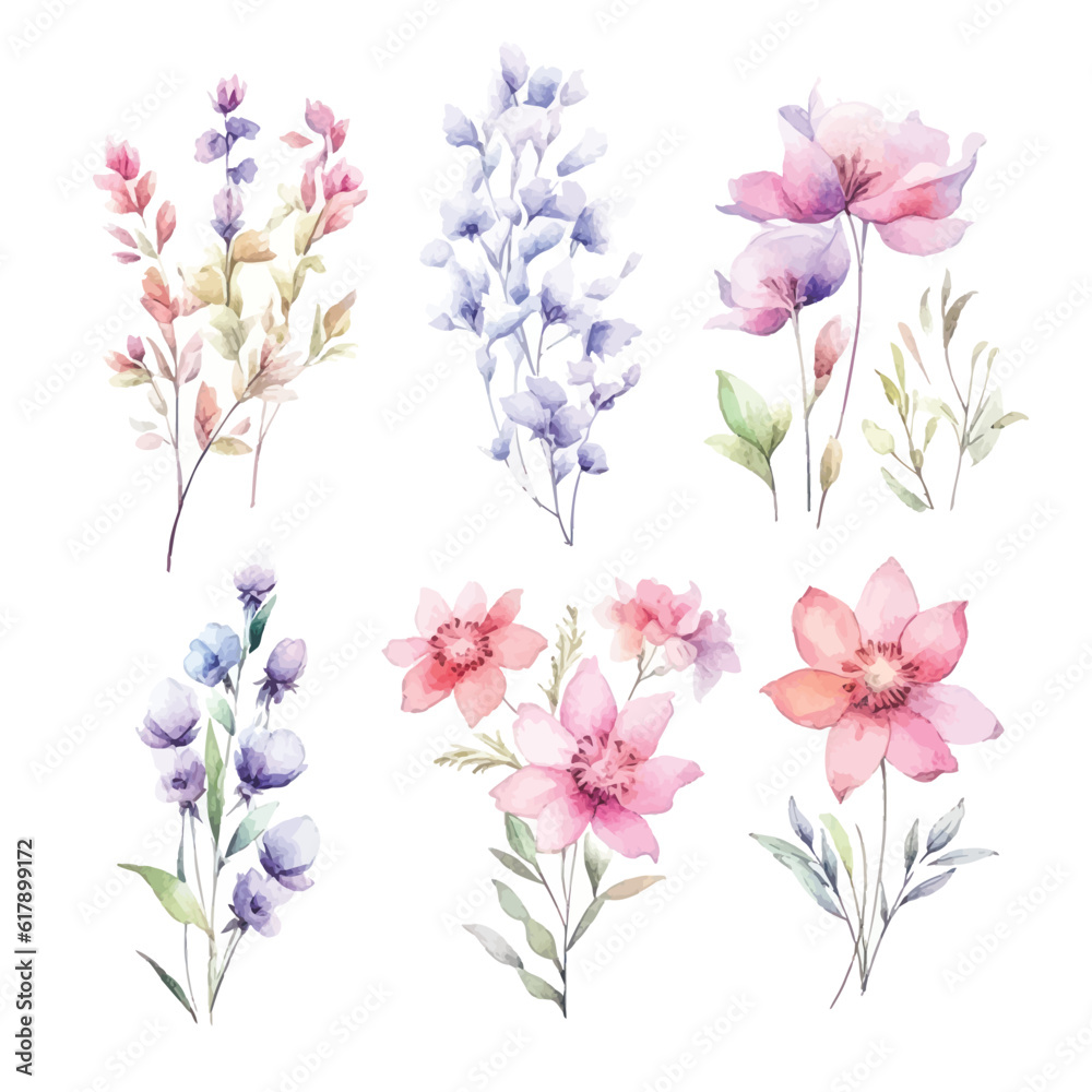 Romantic Watercolor Fairy Florals: Soft Hues on Transparent Background for Dreamy Creations