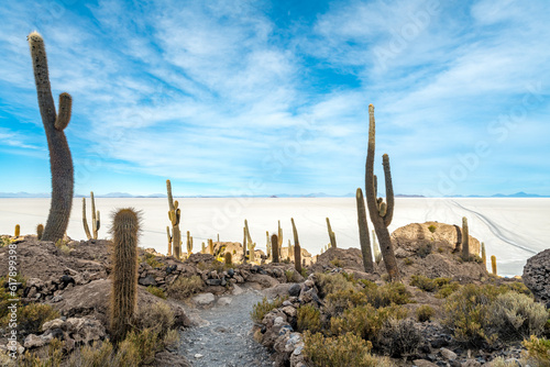 Cactus island in the salar de uyuni in the bolivian altiplano