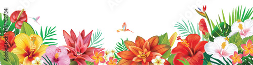 Horizontal Banner from tropical plants and exotic flowers
