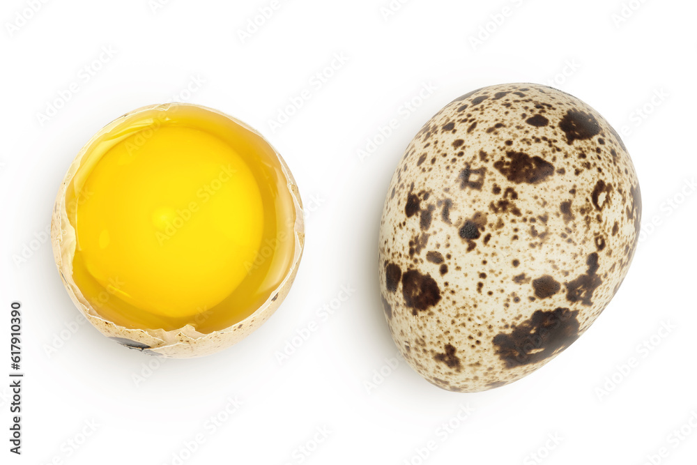 Raw quail egg isolated on white background with full depth of field. Top view. Flat lay Raw quail egg isolated on white background with full depth of field. Top view. Flat lay