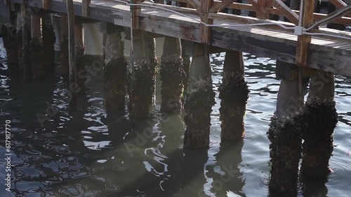 Wallpaper Mural Wooden jetty on the water Torontodigital.ca