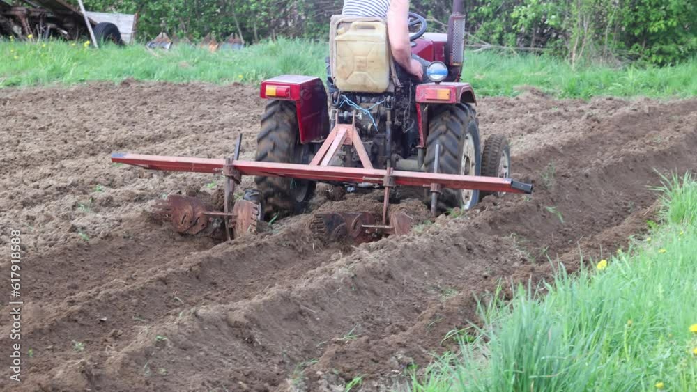 Attached equipment on mini tractor for plowing potato field, home-made harrow cultivator for formation of row spacing.