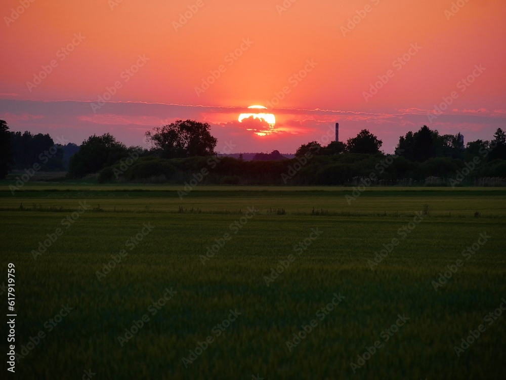 Sunset over the field in Sweden