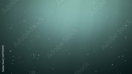 Particles and plangton floating underwater. Abstract background 4k photo