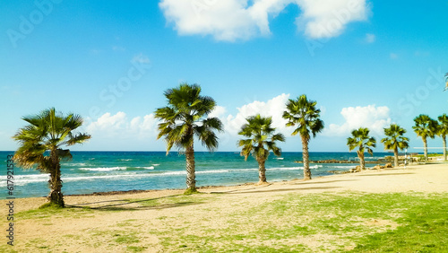 Fototapeta Naklejka Na Ścianę i Meble -  Beach and palm trees. Mediterranean sea coast.