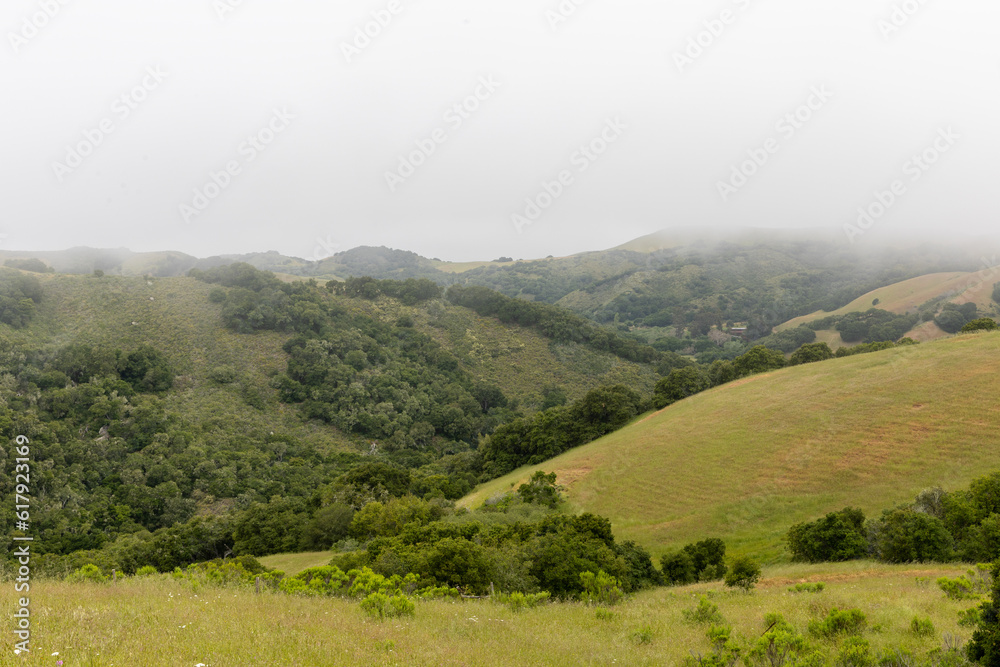 Rolling hills in San Luis Obispo county with low lying coastal clouds