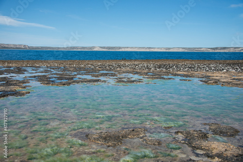 Puerto Piramide Landscape