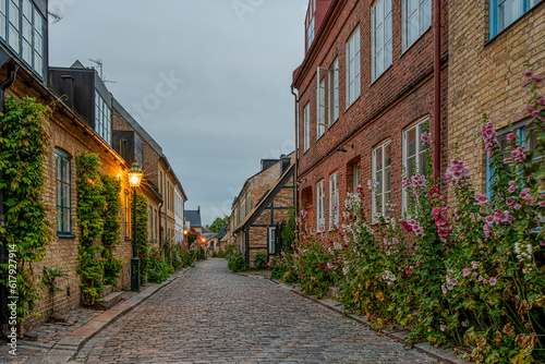 Hjortgatan is a scenic alley with hollyhocks in the old town of Lund