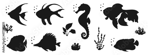 Black silhouette of marine life. Set of elements for design in marine style. Shadow of various fishes, algae and corals