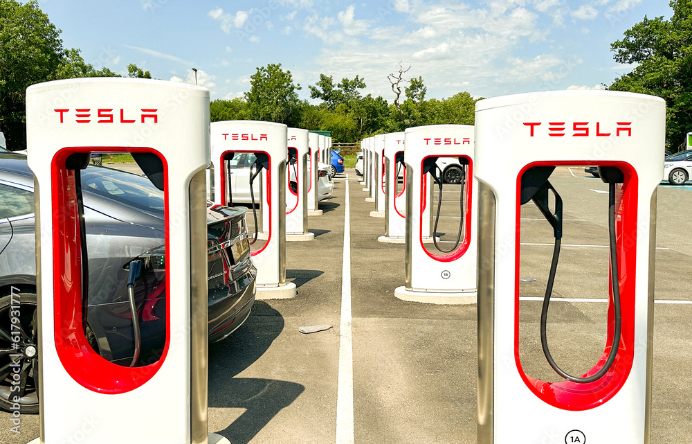 Leigh Delamere, Chippenham, Wiltshire, UK 25 June 2023 Row of Tesla