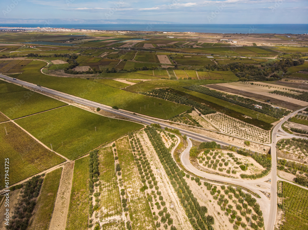 Aerial view of a vineyard plantation in late afternoon lights in Europe.