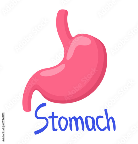 Vector isolated illustration of stomach with lettering.