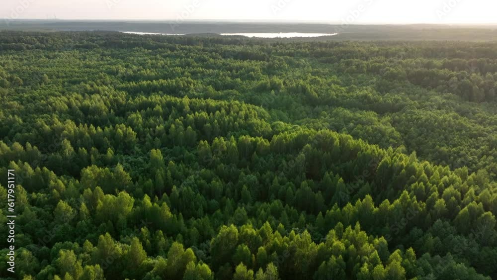 Lake in forest on sunset, aerial view. Wild pond near village. Rural landscape. Wildlife Scenery. Refuge Wetland Restoration, groundwater. Freshwater scarcity, Ecosystem. Global drought crisis
