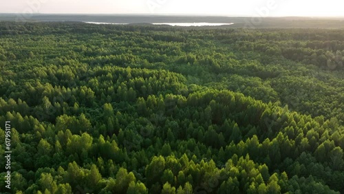Wallpaper Mural Lake in forest on sunset, aerial view. Wild pond near village. Rural landscape. Wildlife Scenery. Refuge Wetland Restoration, groundwater. Freshwater scarcity, Ecosystem. Global drought crisis Torontodigital.ca