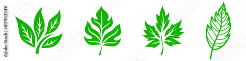 Leaf icons set ecology nature element  green leafs  environment and nature eco sign.