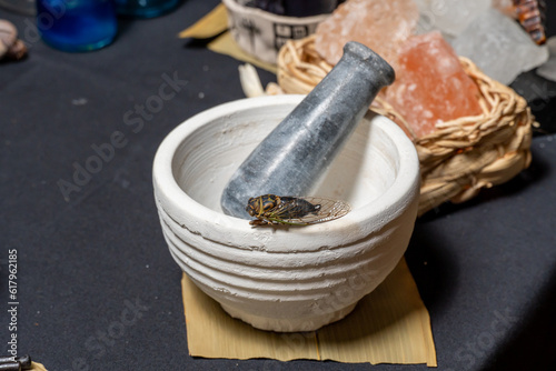 Mortar and pestle witchcraft alchemy still life selective focus, witch craft pharmacy and medicine. Spiritual occultism chemistry, magic alchemy and ritual arrangement.