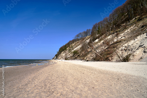 Baltic sea coast with sandy beach and cliff overgrown with trees on Wolin island