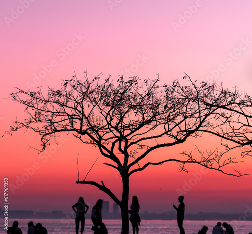 silhouette of family on sunset