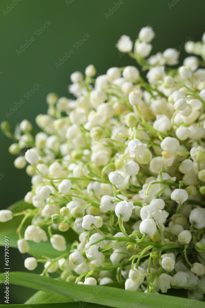 Beautiful lily of the valley flowers on blurred green background, closeup Beautiful lily of the valley flowers on blurred green background, closeup