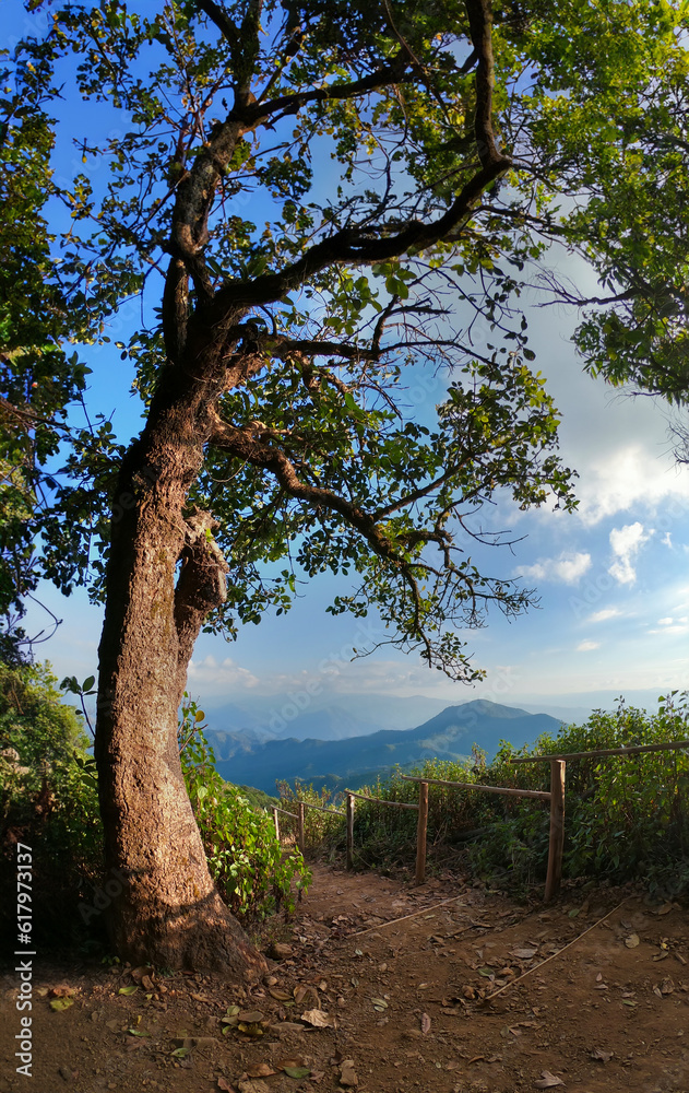 Mountain landscape with hiking trail and view of beautiful forest, Mountain path, Hiking trail through forested peaks, Trial to the peak in high Mountains at Doi Pui Co, Thailand Mountain landscape with hiking trail and view of beautiful forest, Mountain path, Hiking trail through forested peaks, Trial to the peak in high Mountains at Doi Pui Co, Thailand