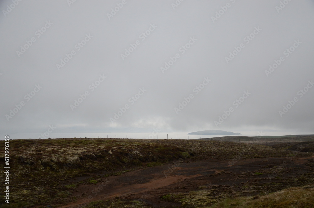 Foggy Landscape 