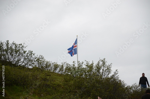 Icelandic Flag In The Wind 