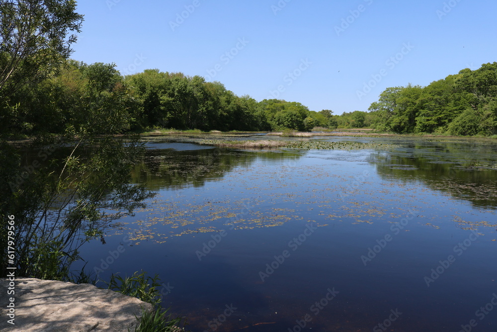 View of small pond on a nice day with a blue, cloudless sky. Still water. Green trees. 