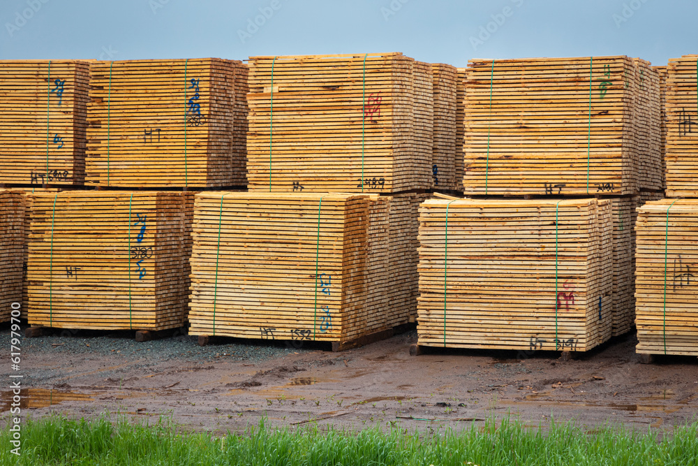 Stacks of fir timber ready for transport on the site of the sawmill, Canada Stacks of fir timber ready for transport on the site of the sawmill, Canada