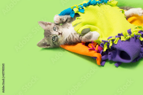 Gray and white tabby kitten laying and playing in a colorful blanket, green background.