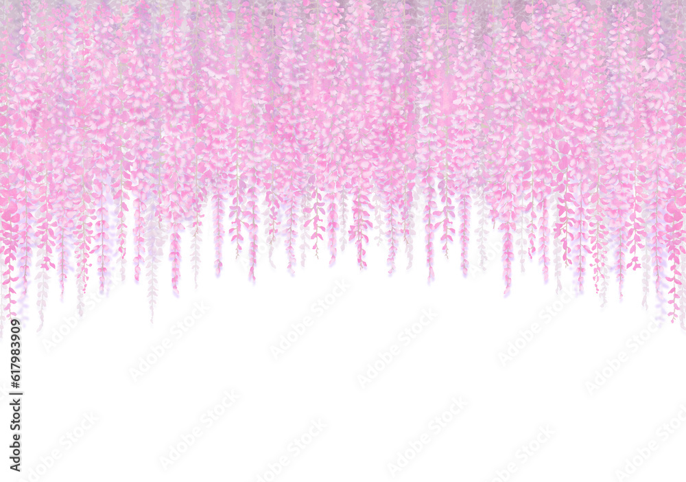 幻想的なピンク　藤の花のイラスト　白背景