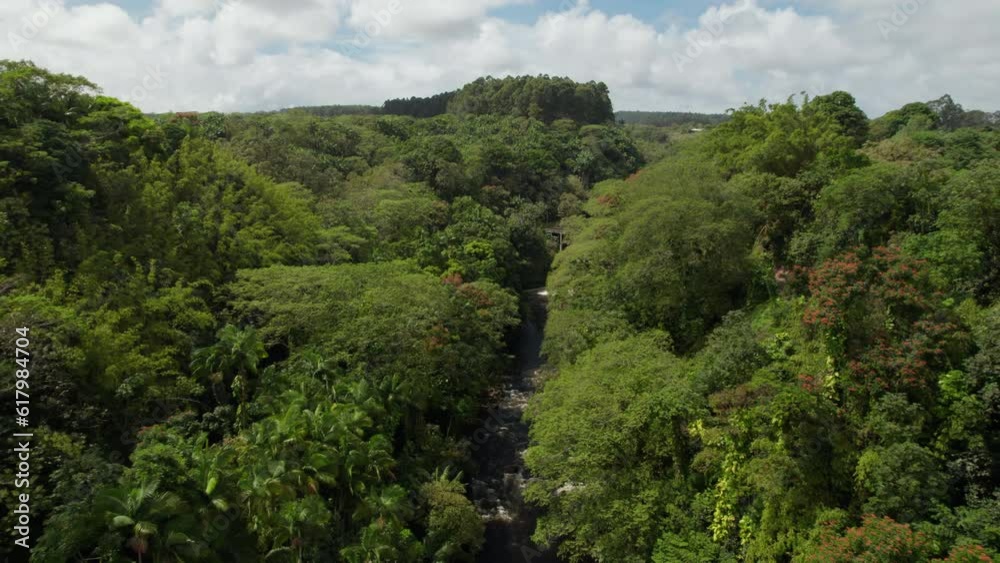 Forwards fly above wild nature. Dense green tropical vegetation along creek with water cascades. Hawaii, USA Forwards fly above wild nature. Dense green tropical vegetation along creek with water cascades. Hawaii, USA