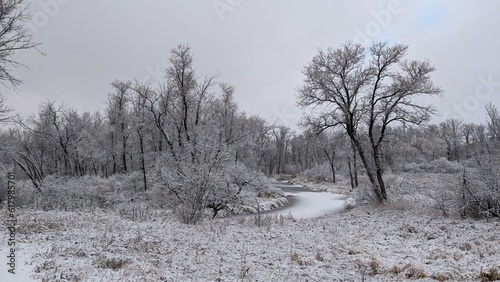 Wallpaper Mural Frozen Creek in Canada Torontodigital.ca