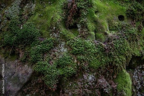 beartown state park, WV