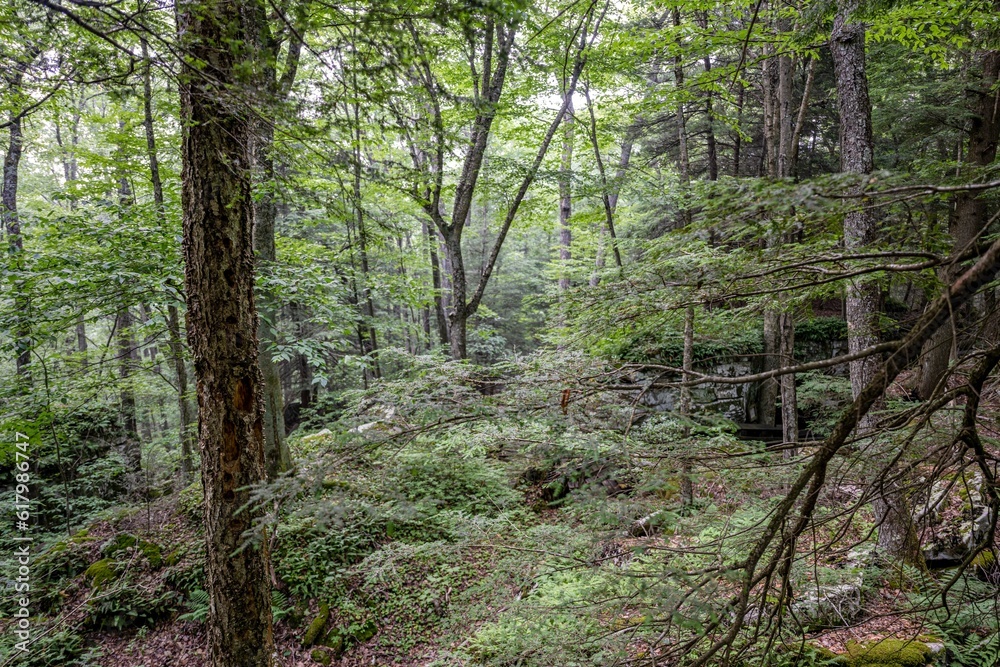 beartown state park, WV