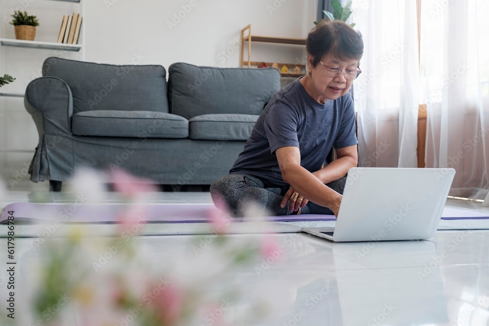 The mature woman exercising to sports video on laptop in living room. The mature woman exercising to sports video on laptop in living room.