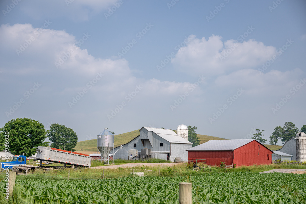 Obraz premium farm