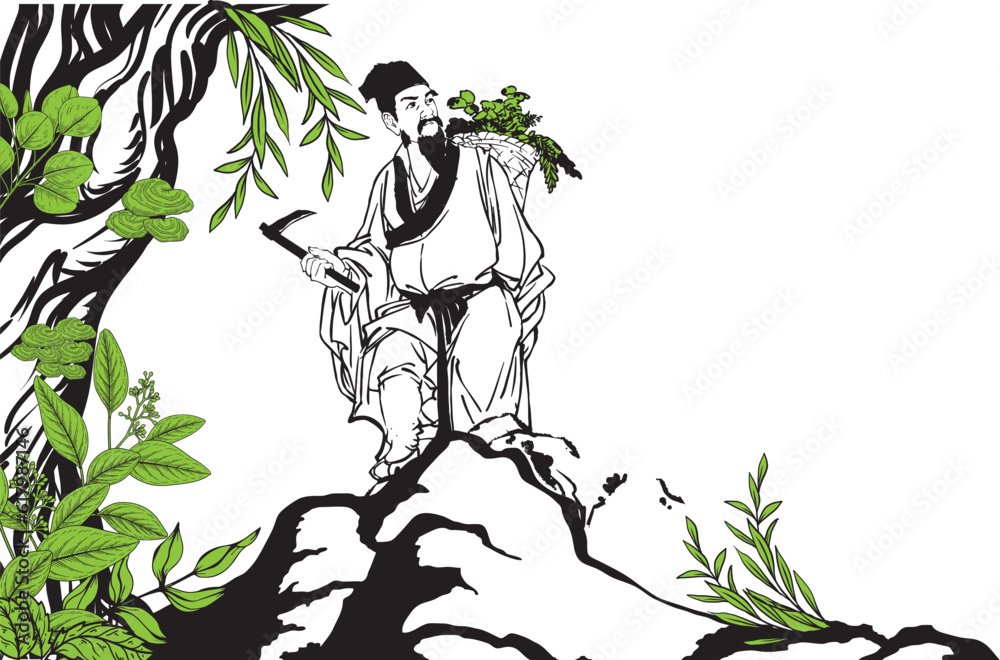 Fototapeta premium person in the jungle