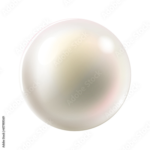 vector realistic detailed 3d pearl on white background