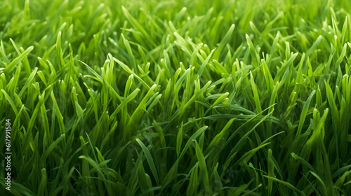fresh green grass backround with empty copy space ,blurry background Generative AI