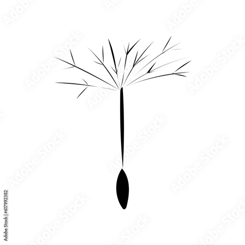 Pusteblume 