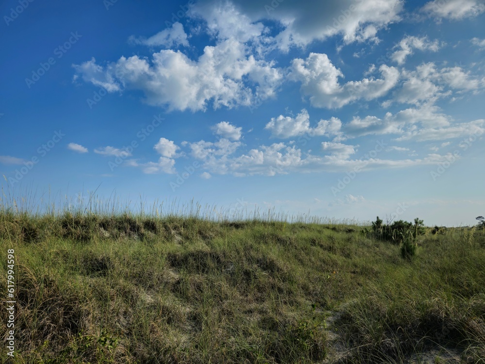 Hilton Head Island Seagrass Hill Under Clouds