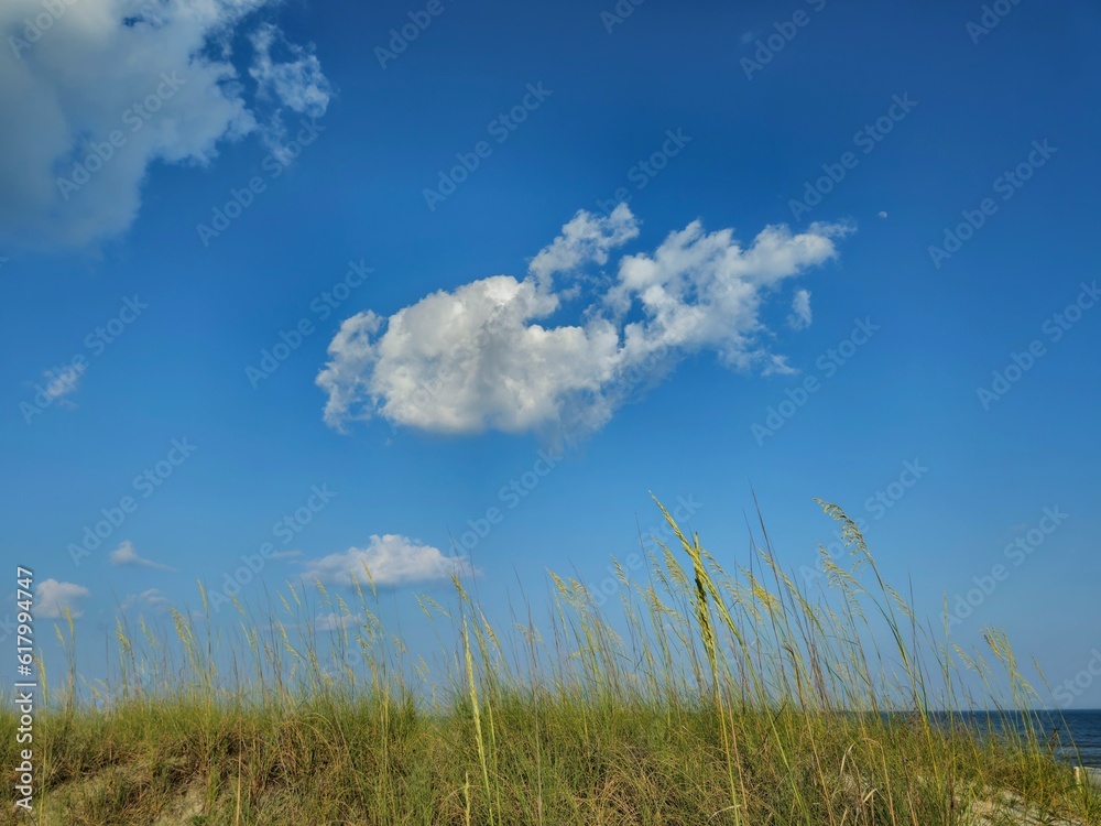 Cloud Over Seagrass at Hilton Head Island Beach Cloud Over Seagrass at Hilton Head Island Beach
