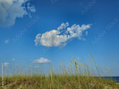 Cloud Over Seagrass at Hilton Head Island Beach