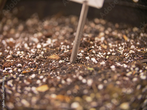 Close Up of a Moisture Meter In a Soilless Potting Mix photo