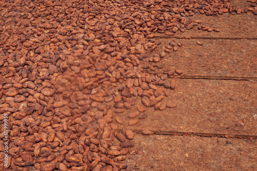 Aromatic cocoa beans as a background