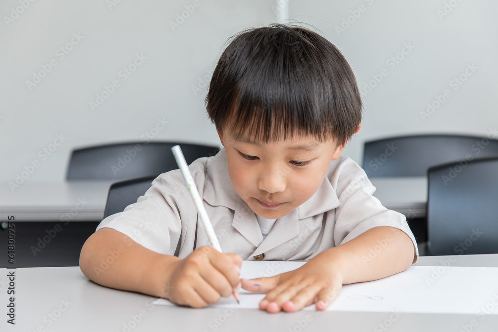 勉強をする小学生 elementary school student studying 勉強をする小学生 elementary school student studying