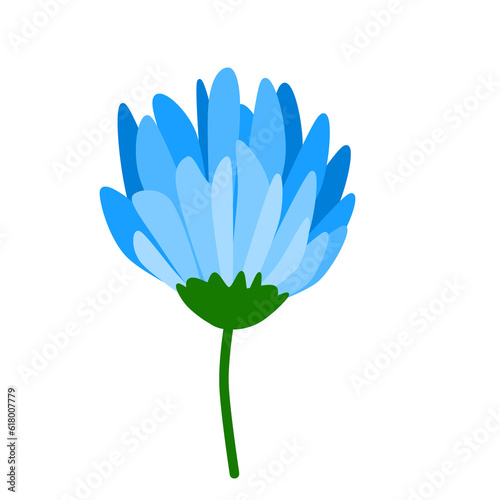 blue yellow pink purple  orange flower on white background for decorate wallpaper and background
